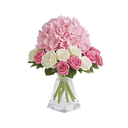 Ivory Blossom Radiance