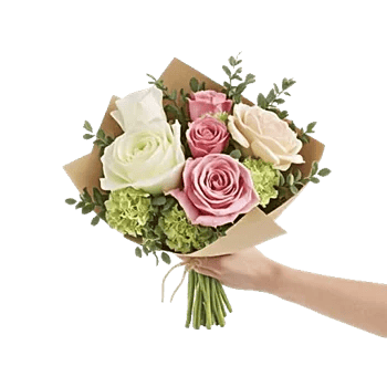 Serene Petal Harmony