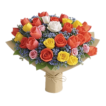 Coral Blossom Harmony