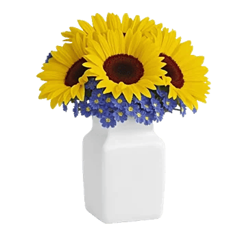 Radiant Bloom Cascade