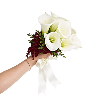 Elegant Calla Lilies