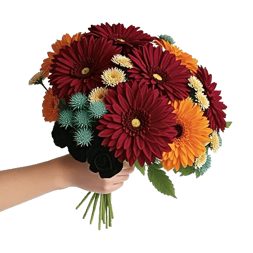 Crimson Blossom Harmony