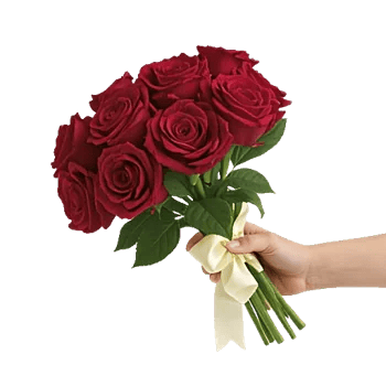 Crimson Rose Elegance