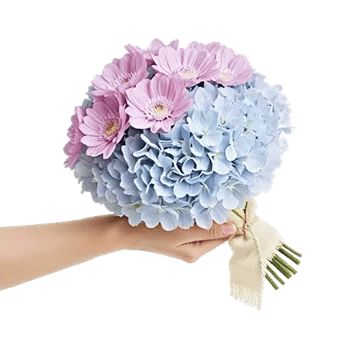 Delicate Petal Cascade