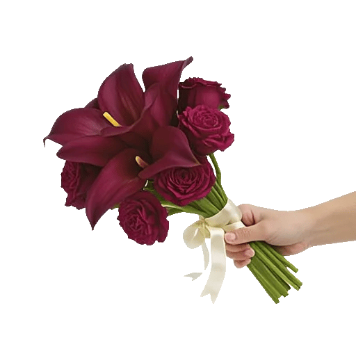 Elegant Calla Lilies