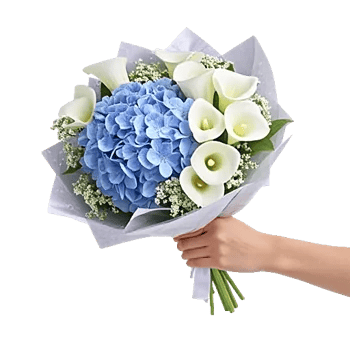 Sapphire Bloom Whisper