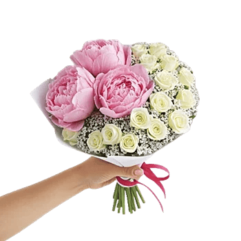 Peony Petal Harmony