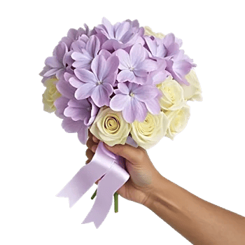 Serene Petal Harmony