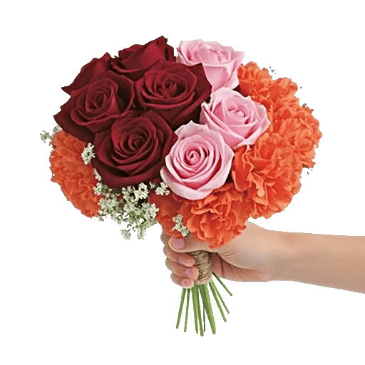 Crimson Rose Elegance