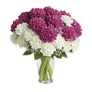 Ivory Blossom Radiance