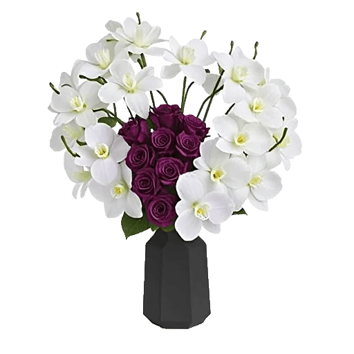 Modern White Orchids