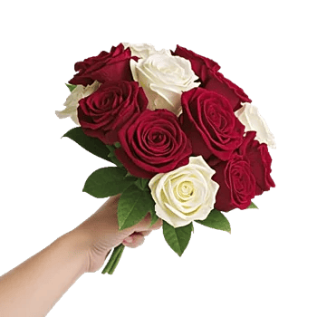 Crimson Rose Elegance