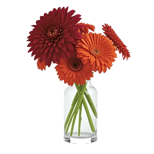 Crimson Blossom Harmony