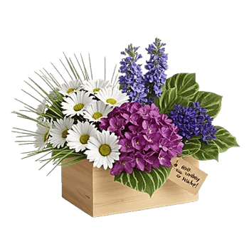 Petal Harmony Bliss