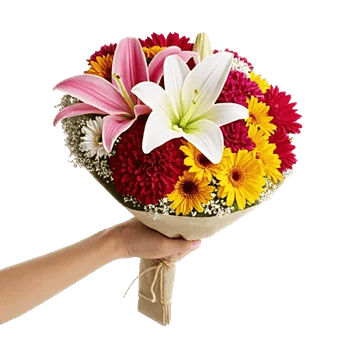 Blossom Harmony Display