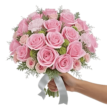 Pastel Pink Roses