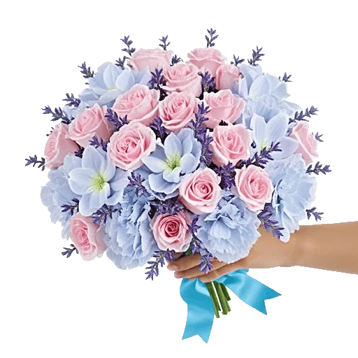 Serene Petal Harmony