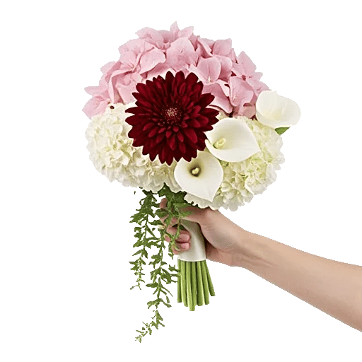 Ivory Blossom Radiance