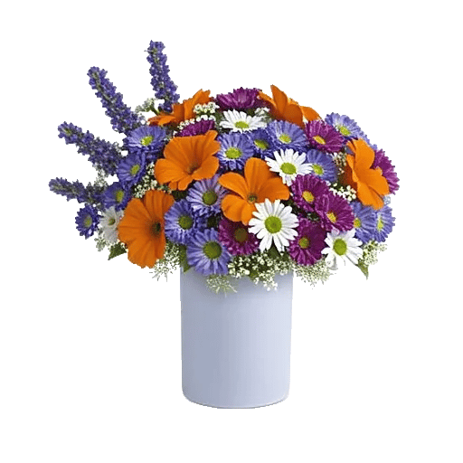 Lavender Bloom Grace