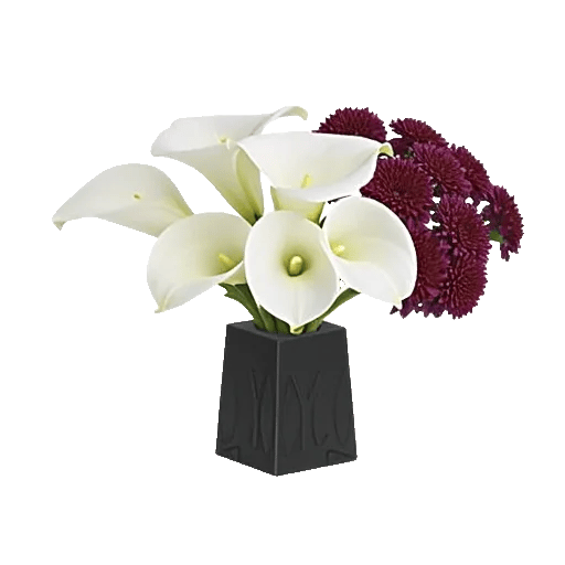Elegant Calla Lilies