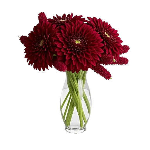 Crimson Blossom Harmony