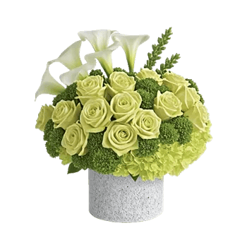 Ivory Garden Grace