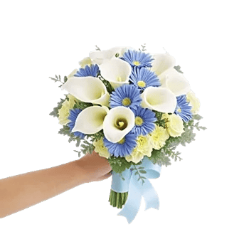 Elegant Calla Lilies