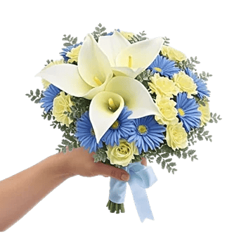 Elegant Calla Lilies