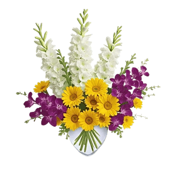 Enchanting Daisy Garden
