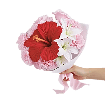 Blushing Rose Symphony