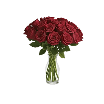 Crimson Rose Elegance