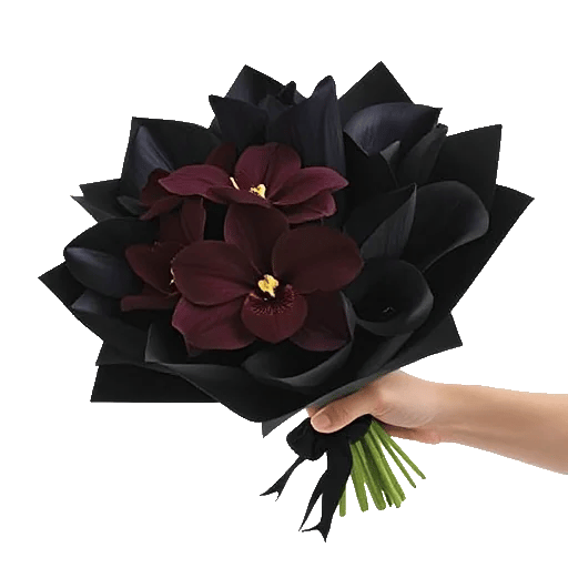 Modern White Orchids