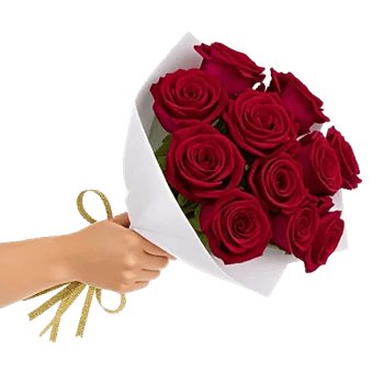 Crimson Rose Elegance