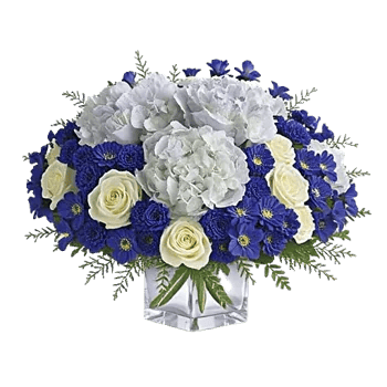 Sapphire Bloom Whisper