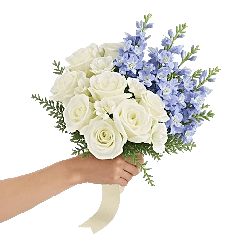 Blossom Petal Serenity