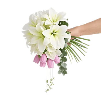 Blossom Harmony Display