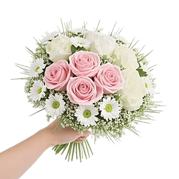 Pastel Pink Roses
