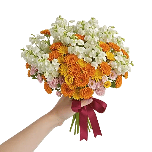 Blossom Harmony Display