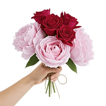 Crimson Rose Elegance