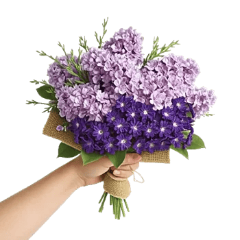 Lavender Bloom Grace