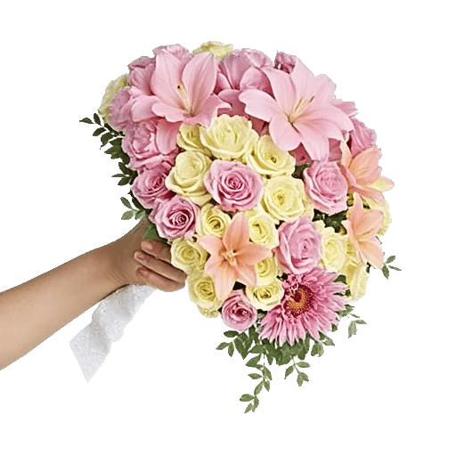 Delicate Petal Cascade