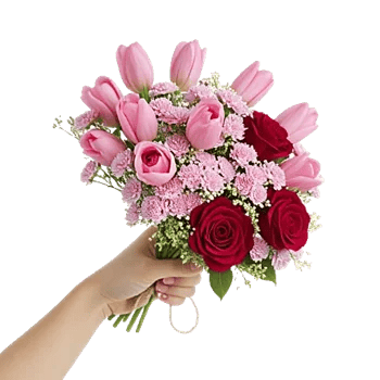 Velvet Tulip Display