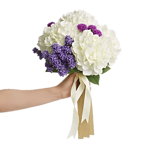 Ivory Blossom Radiance