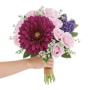Silken Petal Array
