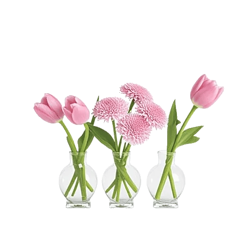 Velvet Tulip Display
