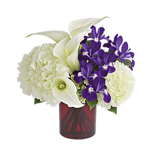Elegant Calla Lilies