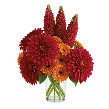 Crimson Blossom Harmony