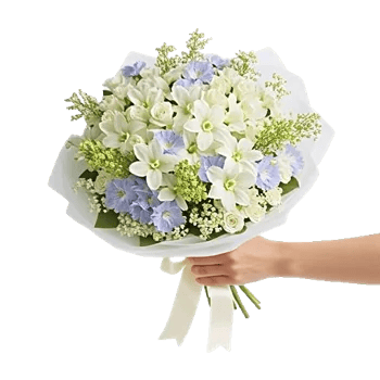 Blossom Harmony Display