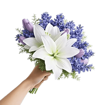 Blossom Petal Serenity