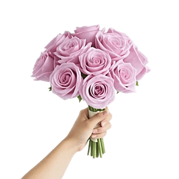 Pastel Pink Roses